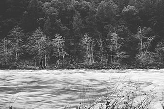 Black and white long exposure river with forest background