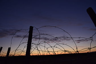 Silhouette of Barbed Wire Fence Against Sunset Sky