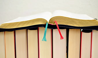 Open Bible with Gilt Edges and Ribbon Markers on Bookshelf