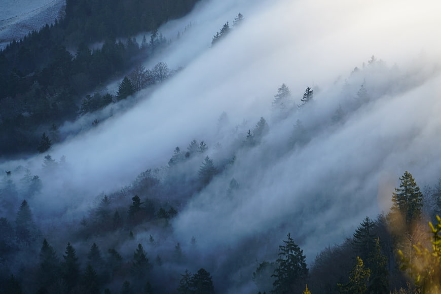 Misty Mountain Forest Landscape with Flowing Fog