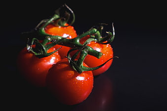 Fresh Red Tomatoes on Vine with Water Droplets