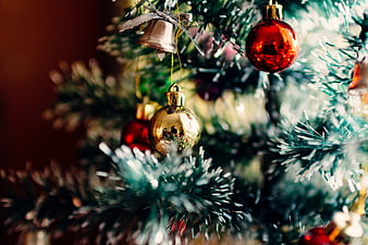 Close-up of Christmas tree with red and gold ornaments