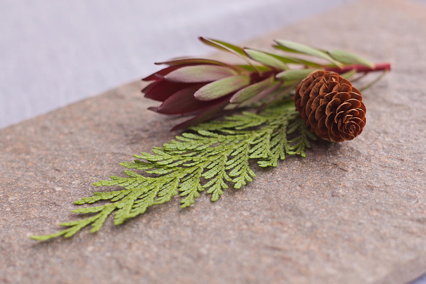 Pine cone and evergreen sprig on textured stone surface