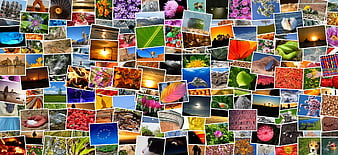 Colorful Photo Collage Mosaic of Nature and Travel