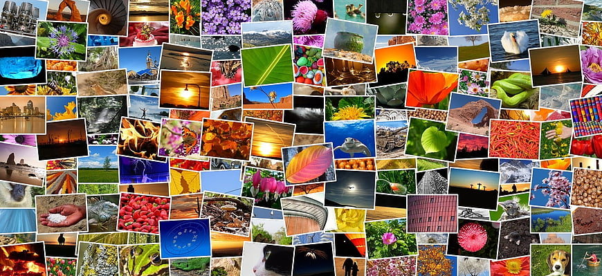 Colorful Photo Collage Mosaic of Nature and Travel