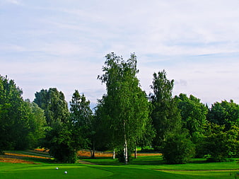 Golf Course Landscape with Trees and Blue Sky