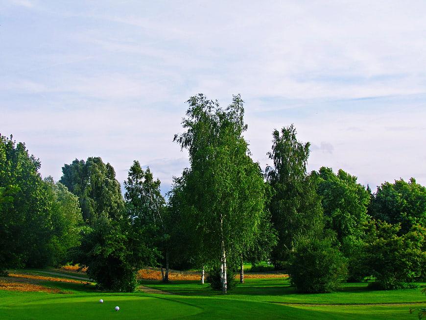 Golf Course Landscape with Trees and Blue Sky
