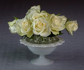 Elegant White Roses in Vintage Glass Vase
