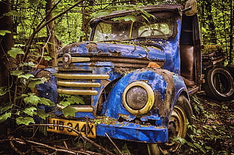 Rusted Blue Vintage Truck Abandoned in Forest