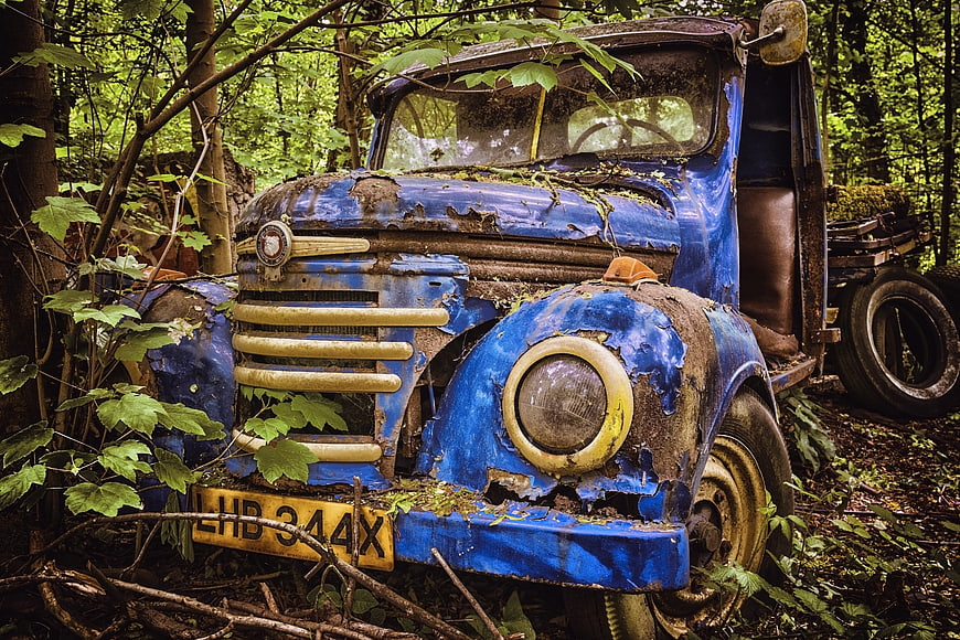 Rusted Blue Vintage Truck Abandoned in Forest