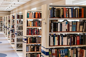 Rows of bookshelves in a modern library aisle