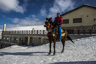 Man Riding Decorated Horse in Snowy Mountain Village