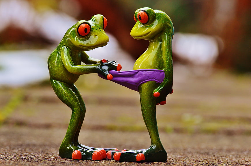 Funny ceramic frog figurines pulling purple underwear
