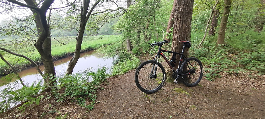 Mountain bike leaning against tree by river in forest