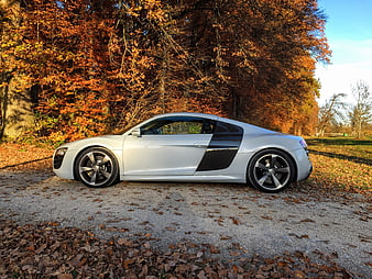Silver Audi R8 Sports Car Parked in Autumn Forest