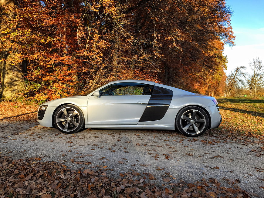 Silver Audi R8 Sports Car Parked in Autumn Forest