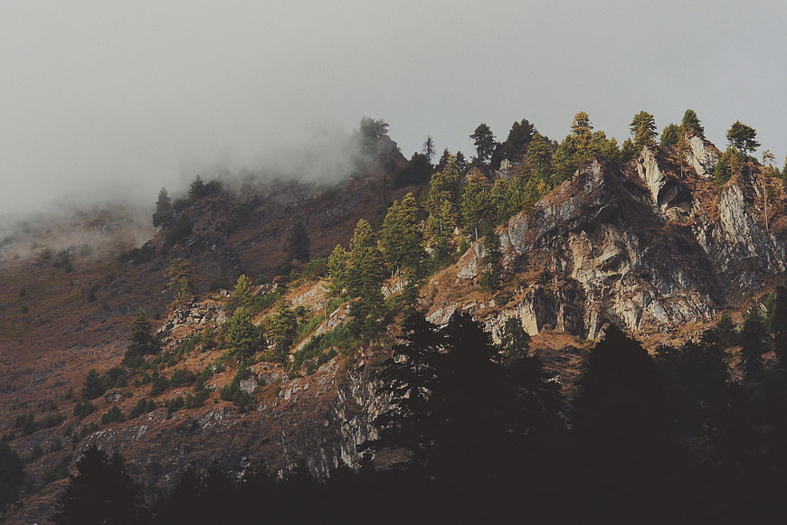 Misty Mountain Ridge with Pine Trees and Rocky Terrain