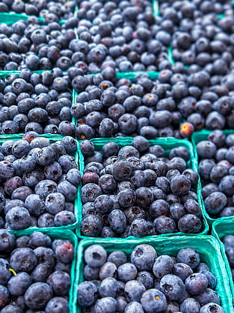 Fresh Blueberries in Green Baskets Close Up