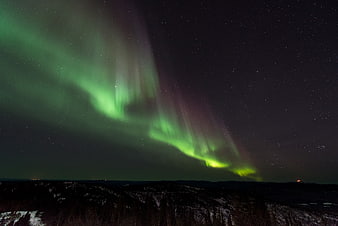 Vibrant Green Aurora Borealis Over Snowy Winter Landscape
