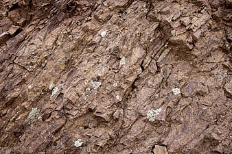 Close-up texture of rough brown rock surface with lichen