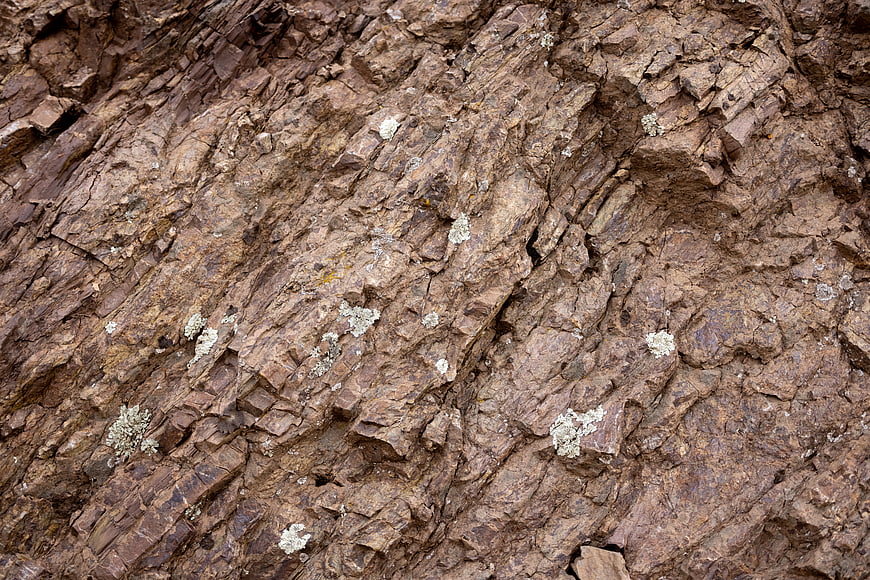 Close-up texture of rough brown rock surface with lichen