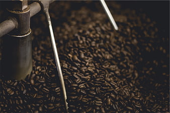 Close-up of coffee beans roasting in industrial machine