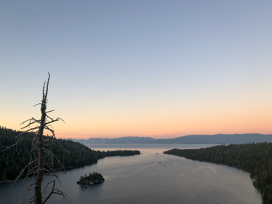 Serene Lake Tahoe Sunset with Dead Tree Foreground