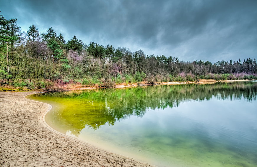 Serene Lake Shore with Forest Reflections Under Cloudy Sky