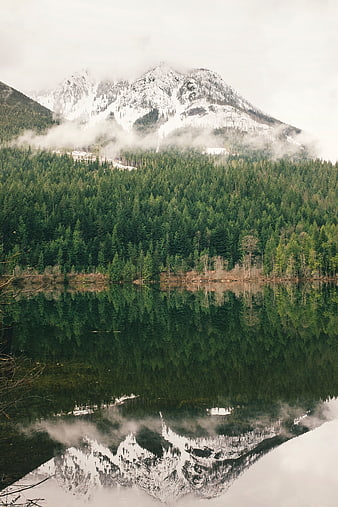 Snowy mountain reflection in calm lake with foggy forest