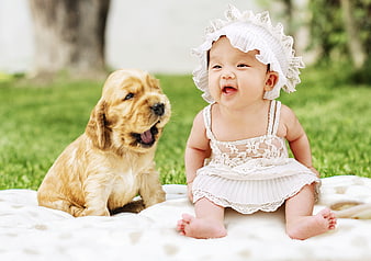 Laughing baby girl in white dress sitting with golden retriever puppy on grass