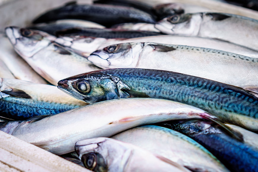 Fresh Raw Mackerel Fish Stacked In Market Crate