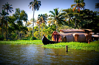 Traditional Kerala Houseboat Docked on Backwaters with Palm Trees