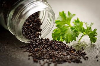 Spilled black peppercorns and fresh parsley on dark surface
