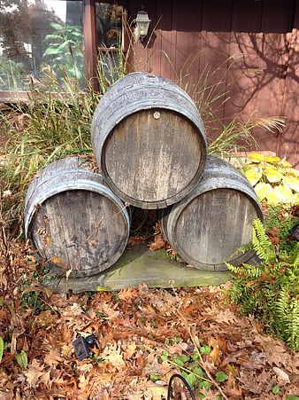 Rustic weathered wooden barrels stacked in a garden bed with autumn leaves