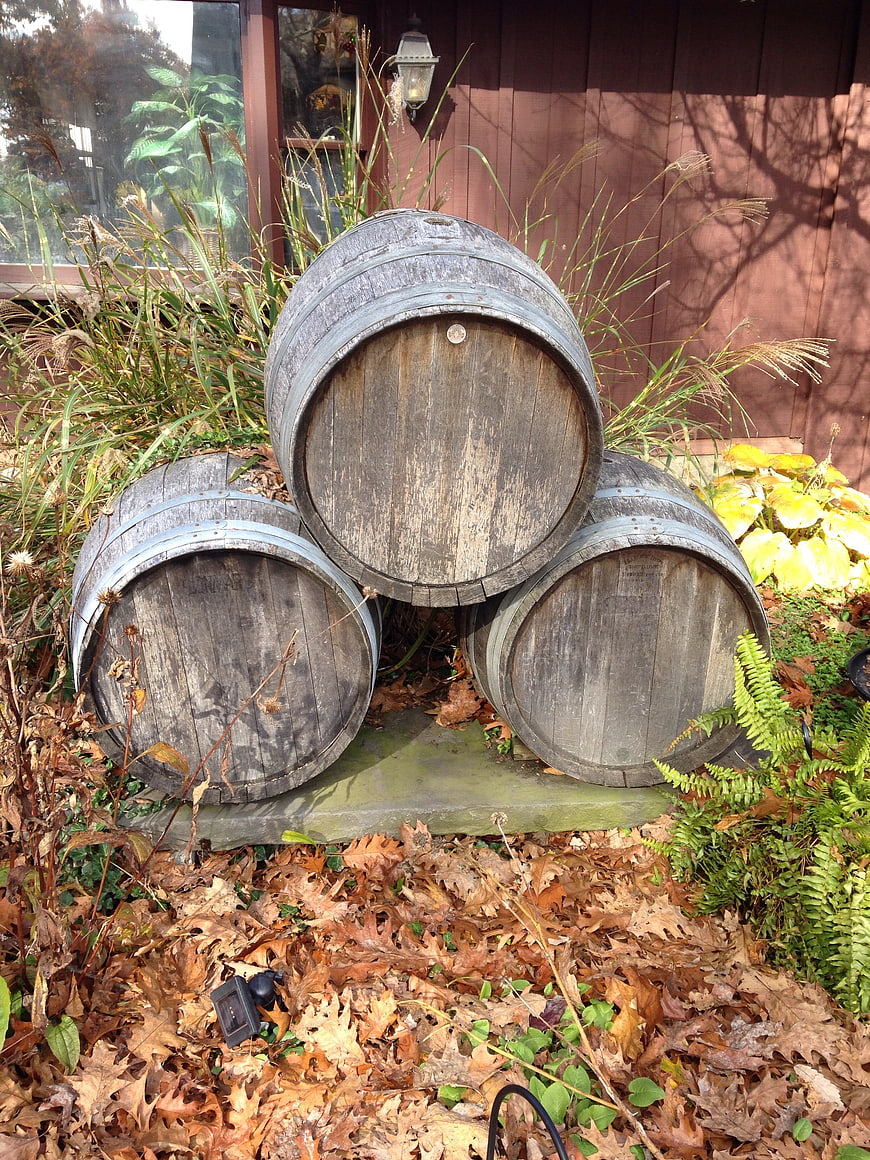 Rustic weathered wooden barrels stacked in a garden bed with autumn leaves