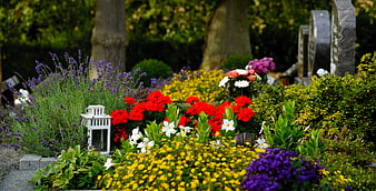 Colorful flowers and lantern on a grave in a peaceful cemetery