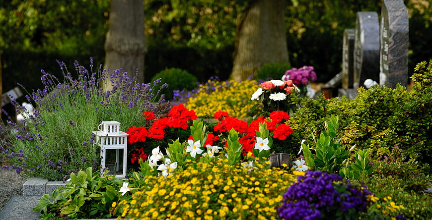 Colorful flowers and lantern on a grave in a peaceful cemetery