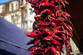 Hanging Dried Red Chili Peppers at Outdoor Market