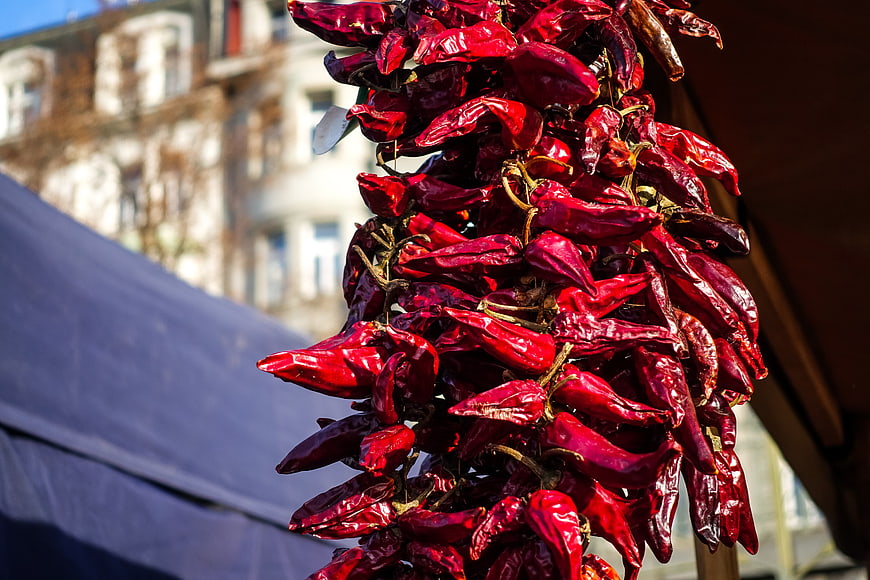 Hanging Dried Red Chili Peppers at Outdoor Market