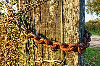 Rusty Chain Wrapped Around Weathered Wooden Post