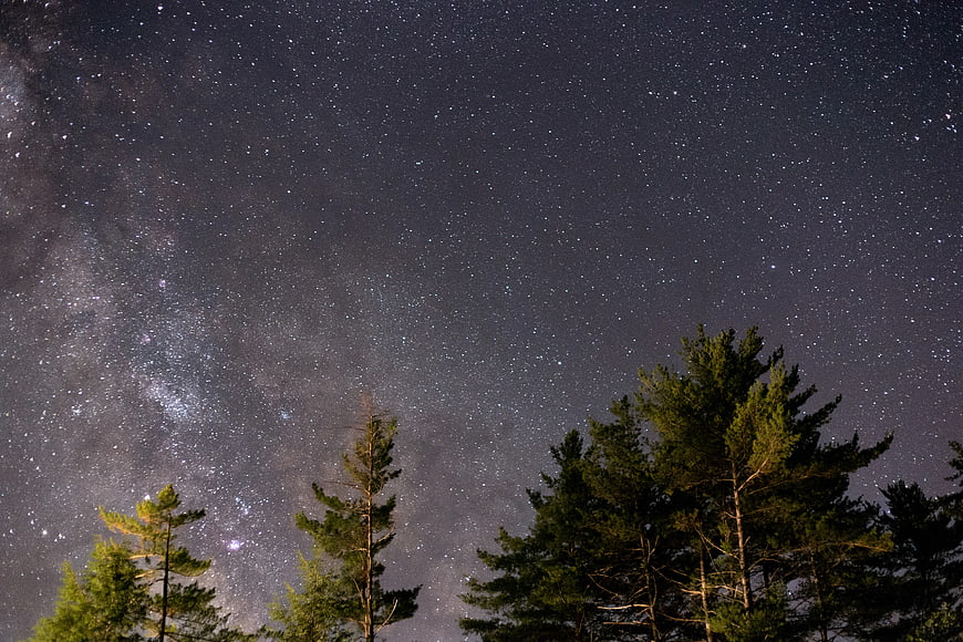 Milky Way Galaxy Over Pine Trees at Night