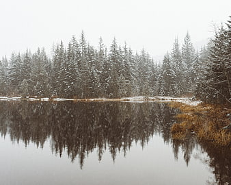 Serene Winter Lake with Snowy Pine Forest Reflection