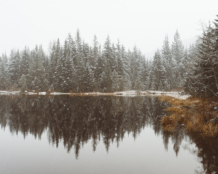 Serene Winter Lake with Snowy Pine Forest Reflection