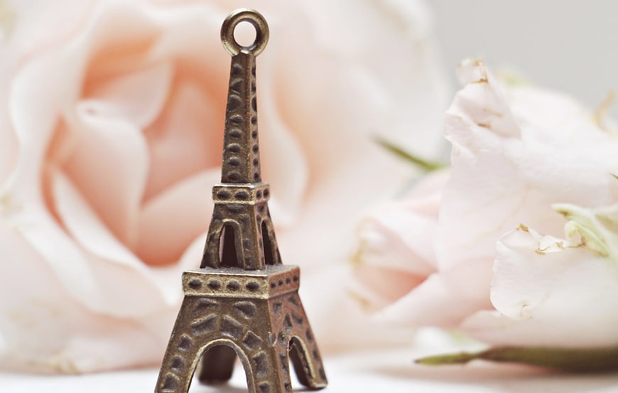 Vintage Eiffel Tower Charm With Soft Pink Roses