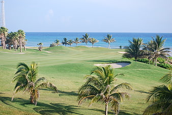 Tropical Golf Course with Palm Trees and Ocean View