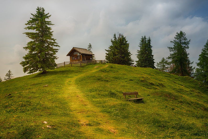 Rustic wooden cabin on a grassy hilltop with pine trees