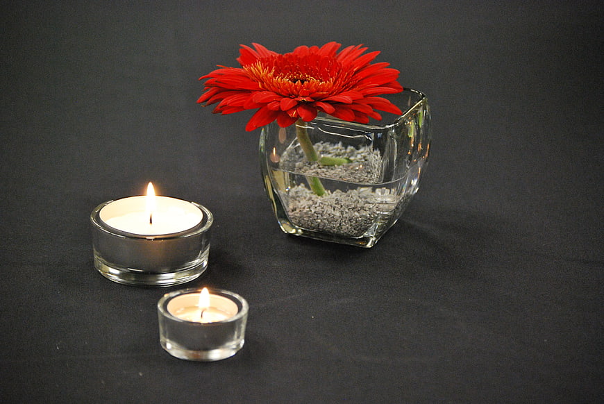 Red Gerbera Daisy in Glass Vase with Candles on Dark Background