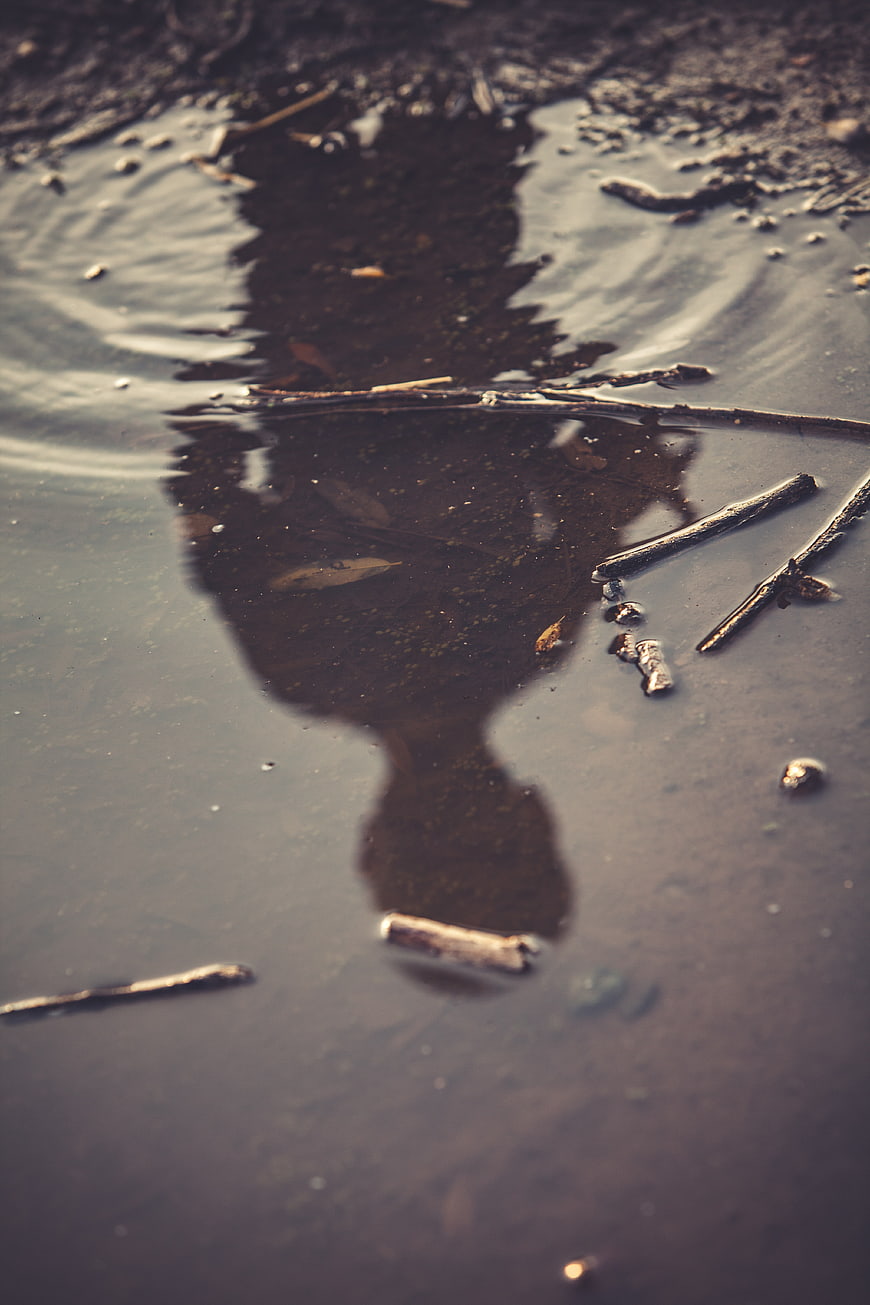 Silhouette Reflection in Puddle with Twigs and Ripples