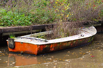 Abandoned orange boat overgrown with plants in water