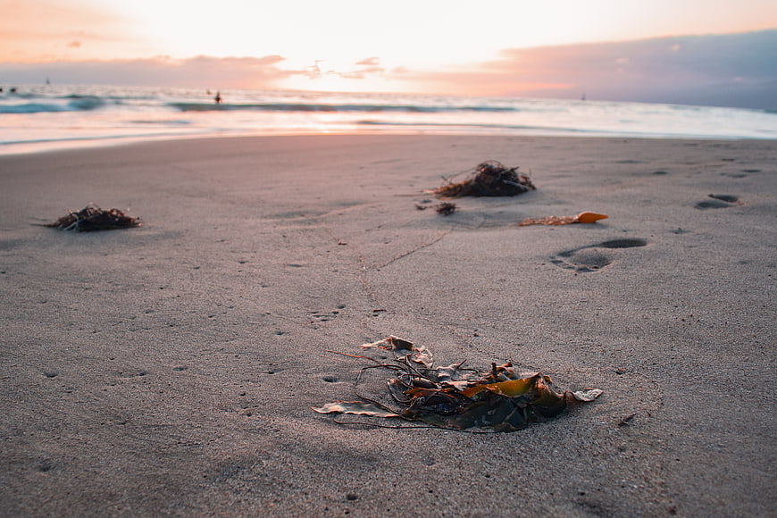 Low Angle Beach Sunset with Seaweed and Footprints